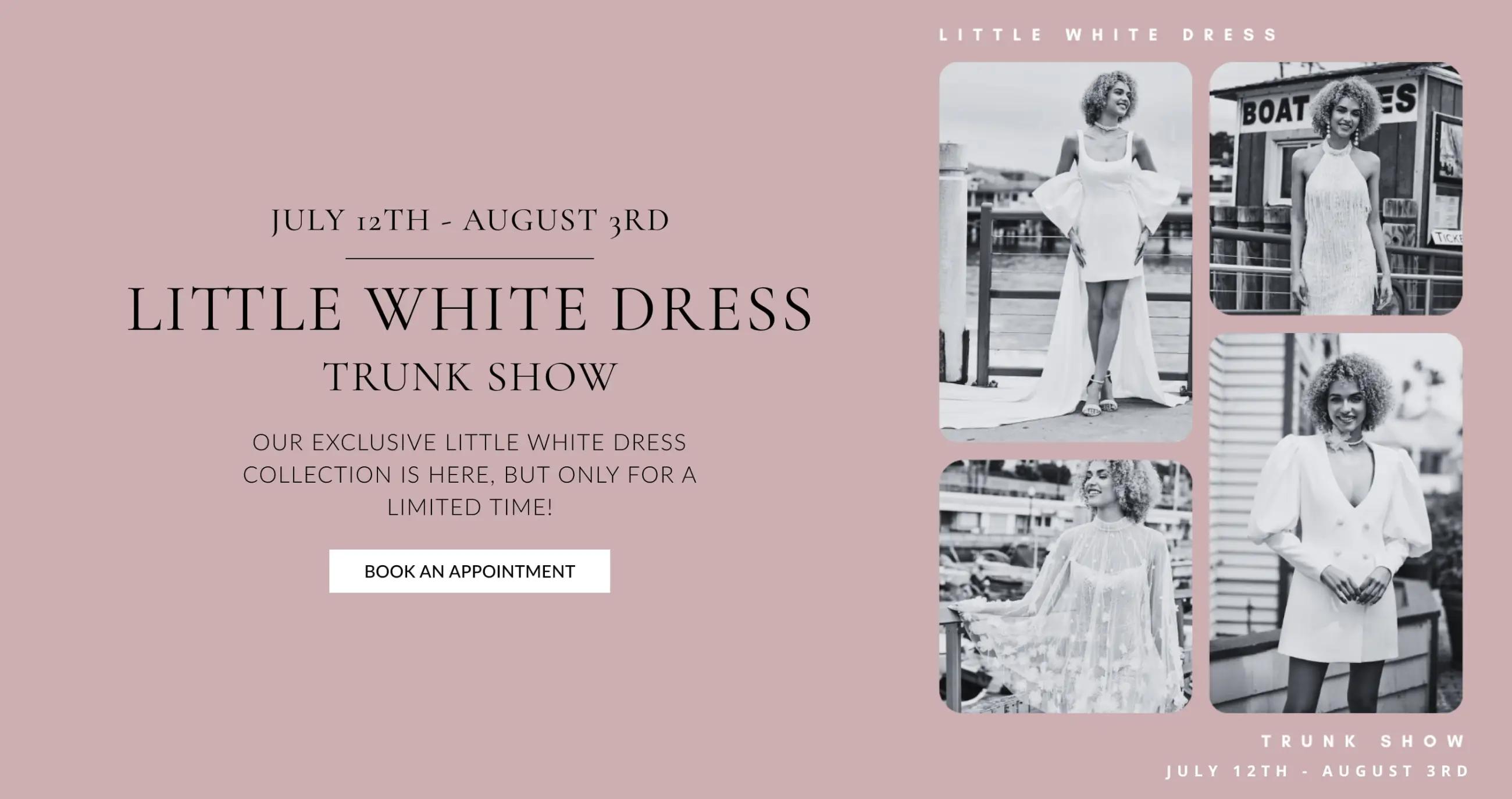 Desktop Little White Dress Banner